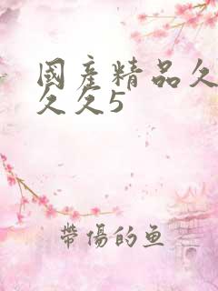 国产精品久久久久久5