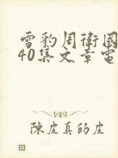 雪豹周卫国全集40集文章电视剧