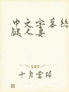 中文字幕丝袜美腿人妻