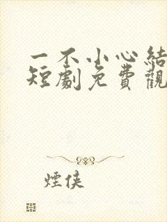 一不小心结错婚短剧免费观看