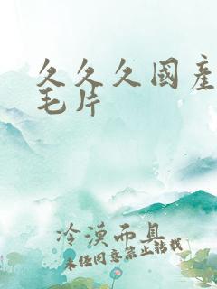 久久久国产精品毛片