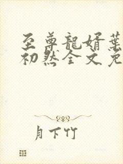 至尊龙婿叶辰萧初然全文免