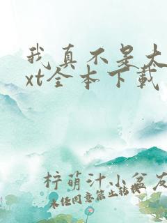 我真不是大佬txt全本下载