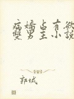 病娇占有欲强的双男主小说