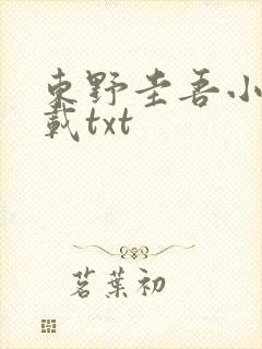 东野圭吾小说下载txt