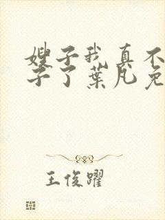 嫂子我真不是傻子了叶凡免费阅读