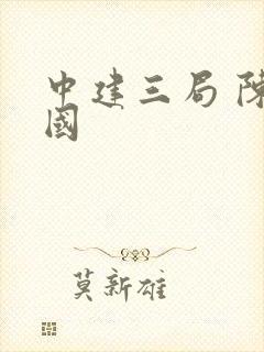 中建三局 陈卫国