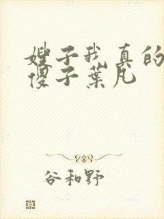 嫂子我真的不是傻子叶凡