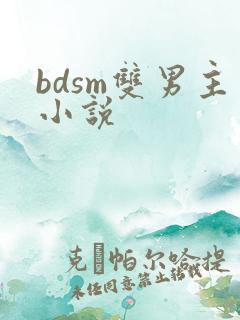 bdsm双男主小说