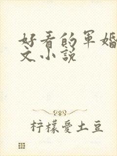 好看的军婚甜宠文小说