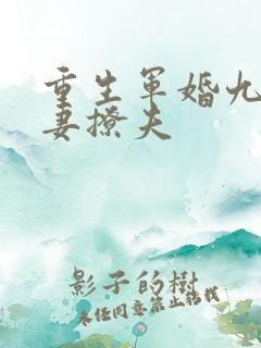 重生军婚九零辣妻撩夫
