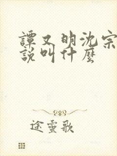 谭又明沈宗年小说叫什么