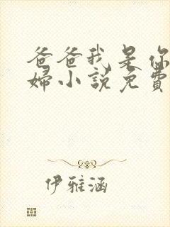 爸爸我是你儿媳妇小说免费阅读