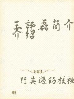 王译磊简介个人介绍