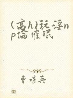 (高h)玩淫np伦催眠