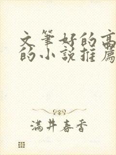 文笔好的高质量的小说推荐