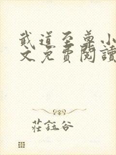 武道至尊小说全文免费阅读无弹窗