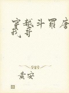 穿越斗罗唐三是我哥