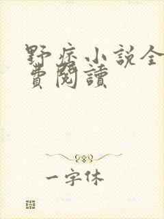 野痞小说全文免费阅读