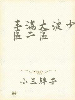 丰满大波少妇一区二区