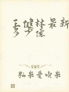 王健林最新身价多少亿