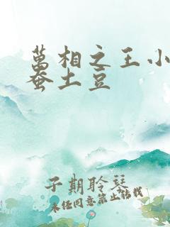 万相之王小说天蚕土豆