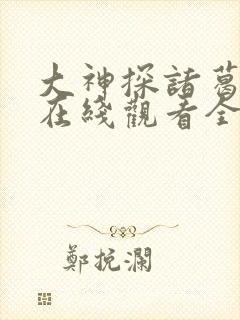 大神探诸葛九九在线观看全集