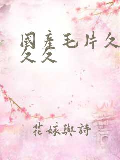 国产毛片久久久久久