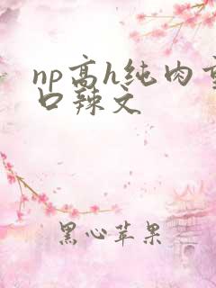 np高h纯肉重口辣文