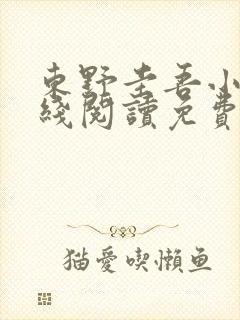 东野圭吾小说在线阅读免费