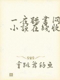 一夜听书网有声小说在线收听