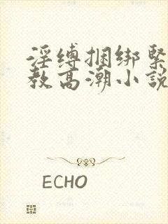 淫缚捆绑紧缚调教高潮小说