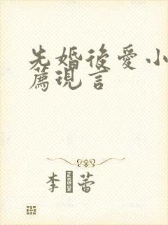 先婚后爱小说推荐现言