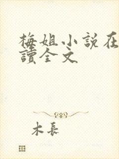 梅姐小说在线阅读全文