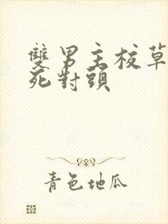 双男主校草校霸死对头