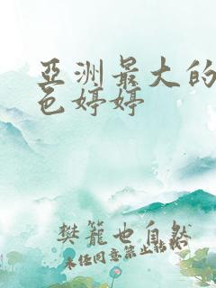 亚洲最大的av色婷婷