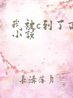 我被c到了高潮小说