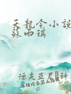 天龙令小说陈平苏雨琪