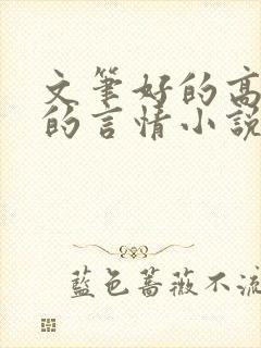 文笔好的高质量的言情小说