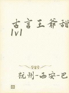 古言王爷甜宠文1v1