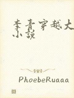 李青穿越大明的小说