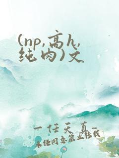 (np,高h,纯肉)文