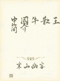 中国牛散王世忱简介