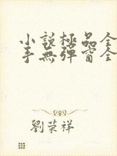 小说极品全能高手无弹窗全文免费阅读