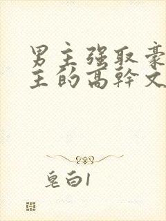 男主强取豪夺女主的高干文