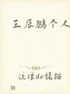 王辰鹏个人简介