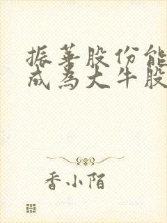 振华股份能不能成为大牛股