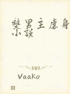 双男主虐身虐心小说