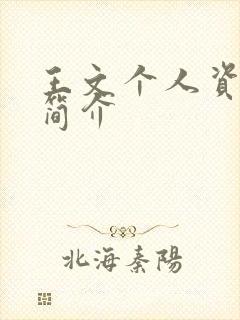 王文个人资料及简介