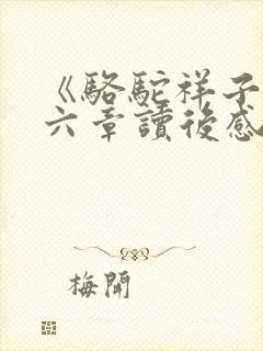 《骆驼祥子》第六章读后感